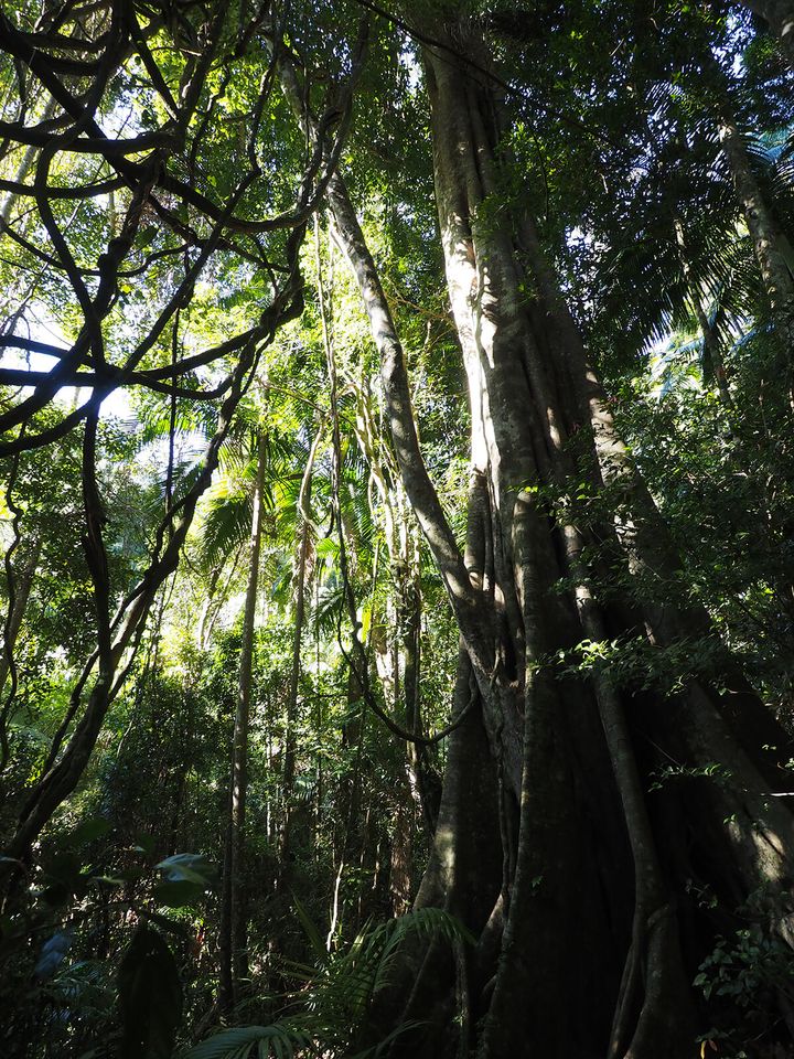 240705_Gold Coast_10.jpg