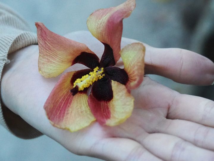 240705_Gold Coast_4.jpg