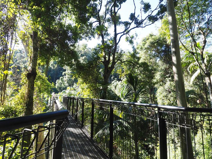 240705_Gold Coast_9.jpg