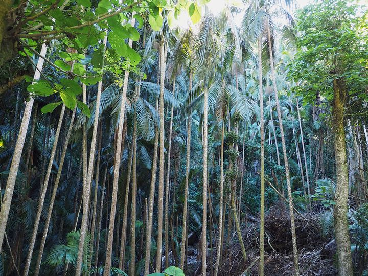 240705_Gold Coast_8.jpg