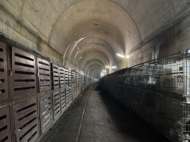この夏食べたい静岡県「渥美農園」の絶品！こだわりレモンいっぱいのレモンケーキ【旅するデザイナーがおすすめする旅先でのお土産たち！】