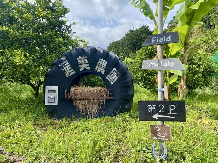 この夏食べたい静岡県「渥美農園」の絶品！こだわりレモンいっぱいのレモンケーキ【旅するデザイナーがおすすめする旅先でのお土産たち！】