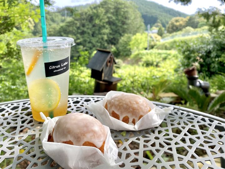 この夏食べたい静岡県「渥美農園」の絶品！こだわりレモンいっぱいのレモンケーキ【旅するデザイナーがおすすめする旅先でのお土産たち！】
