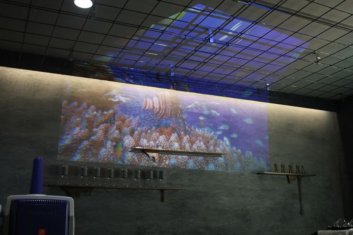 店内の壁面にはプロジェクターで季節に合わせた映像を放映している