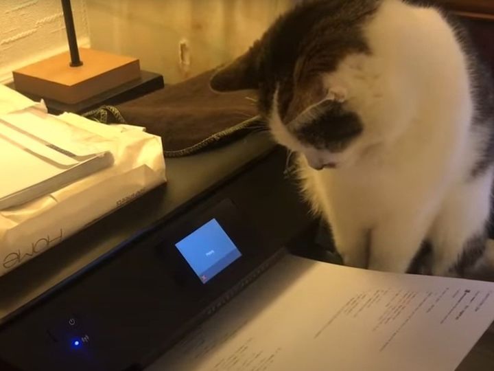 プリンターを見つめているだけ、と思いきや！