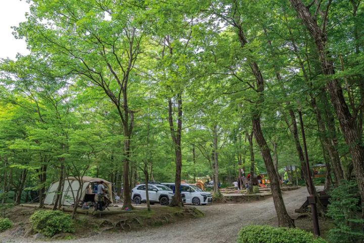 夏休みに絶対に行くべき！子どもが楽しめるキャンプ場12選【栃木県】