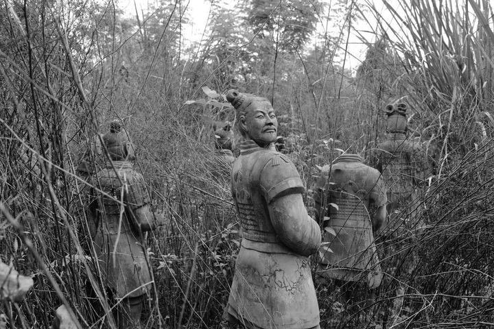 茂みの中の兵馬俑