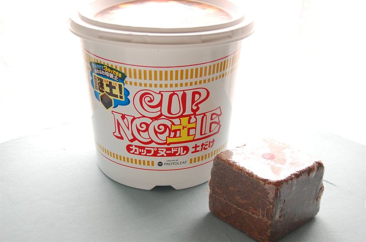 カップヌードル