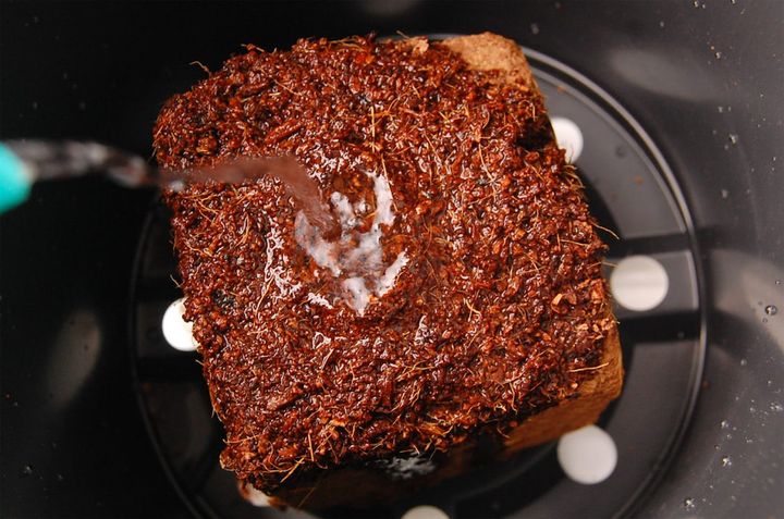 カップヌードル