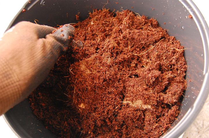 カップヌードル