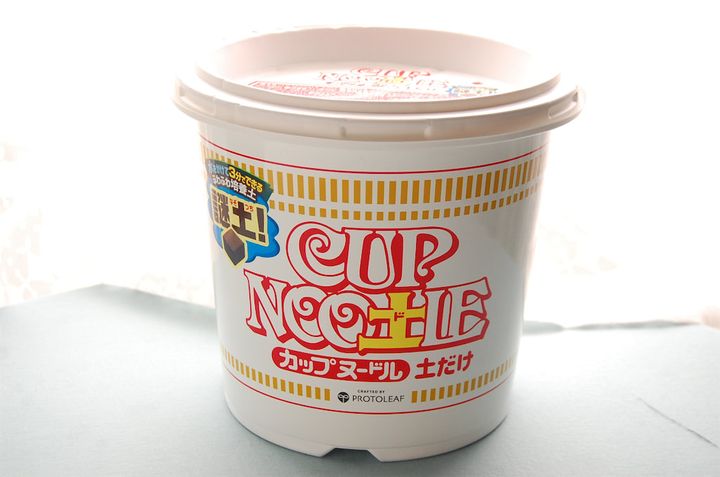 カップヌードル