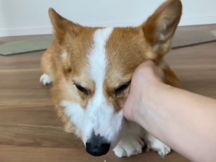 お見送りが違いすぎる！？