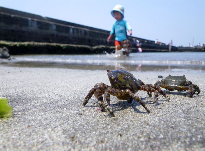 「密漁」になるケースは…