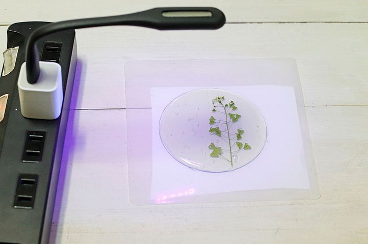 ボタニカルコースター作り