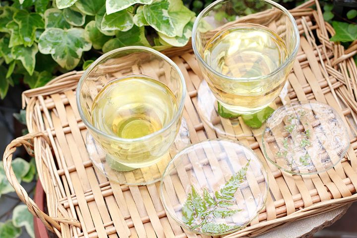 ボタニカルコースター作り