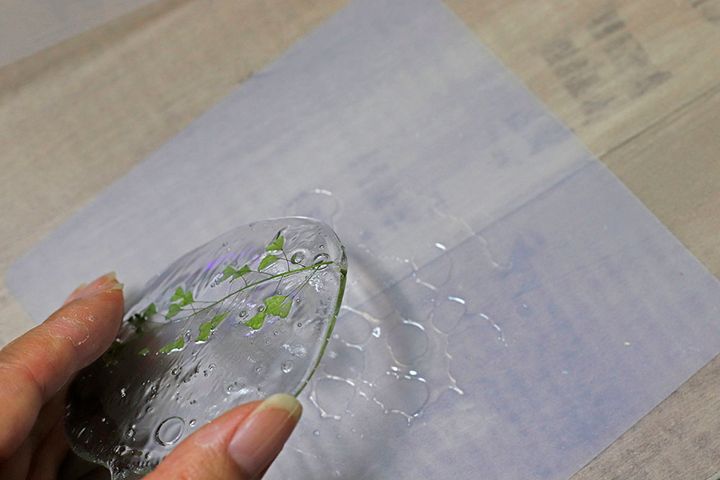 ボタニカルコースター作り