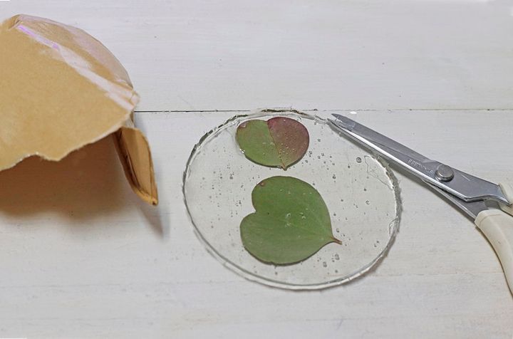 ボタニカルコースター作り