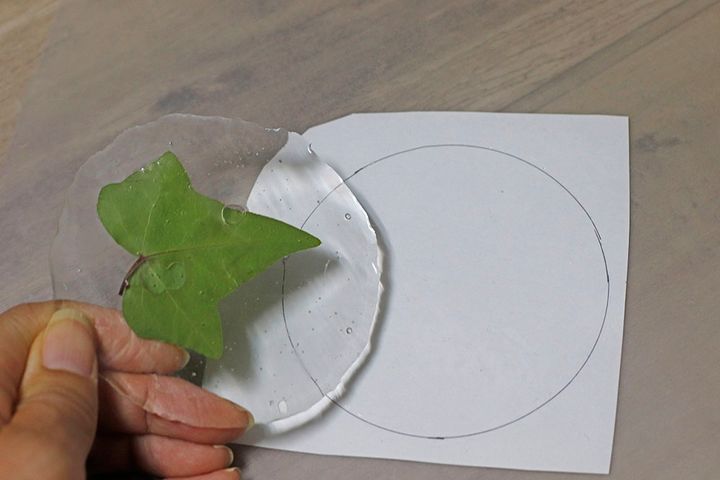 ボタニカルコースター作り