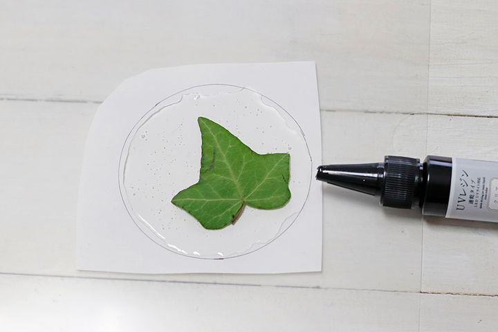 ボタニカルコースター作り