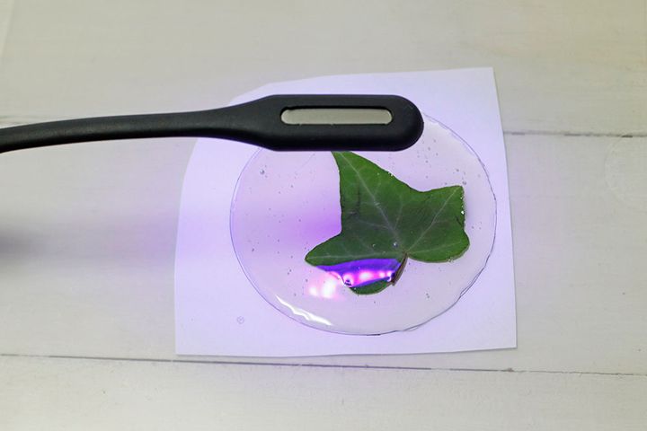 ボタニカルコースター作り