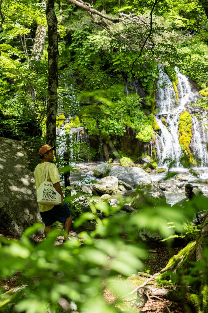 駐車場から吐竜の滝への道