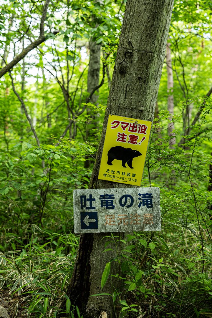 吐竜の滝付近のクマ注意の看板