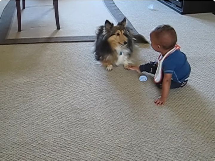 なんというほっこりとした風景…