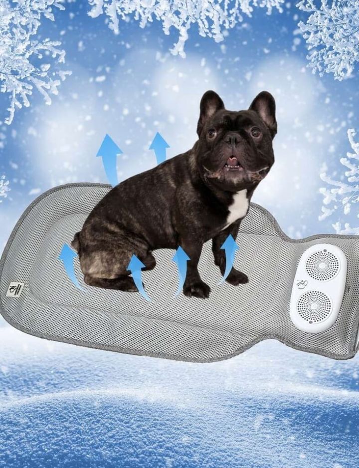 “敷くだけエアコン”空調クールマッ