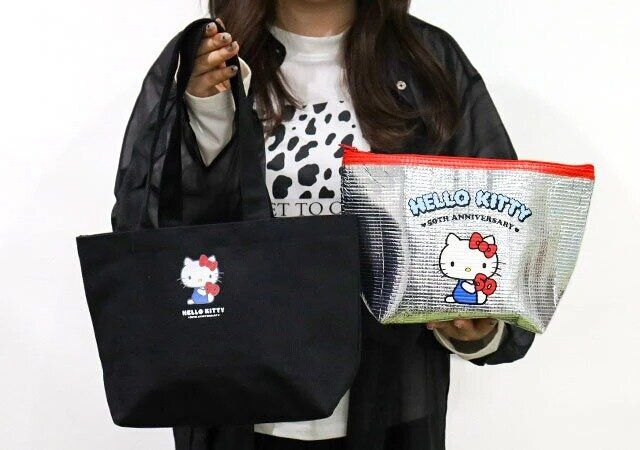 宝島社ハローキティ付録トート＆保冷ポーチ