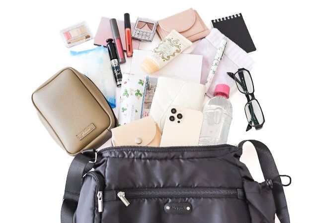 らくかるショルダーバッグ付録レビュー