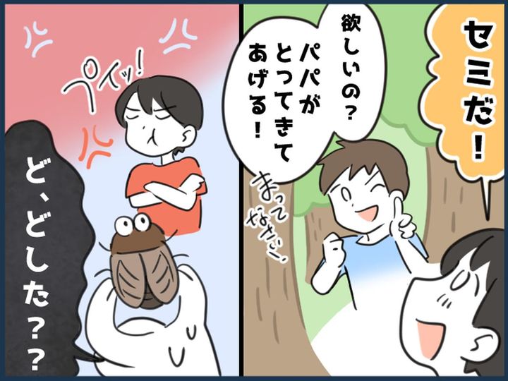 画像: 「こんなはずじゃ、、、（涙）」【セミに喜ぶ息子】のために捕まえたパパ → 愛情が裏目に出て！？