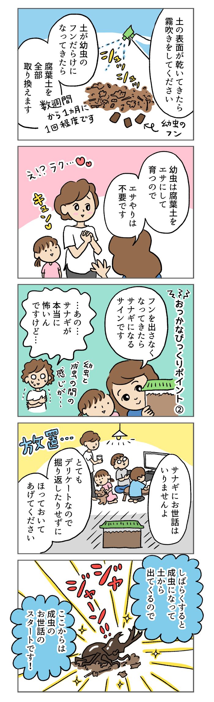 意外とハードルが低い!?「キング・オブ・虫」カブトムシの飼育【マンガでわかる！ おっかなびっくり飼育】の画像2