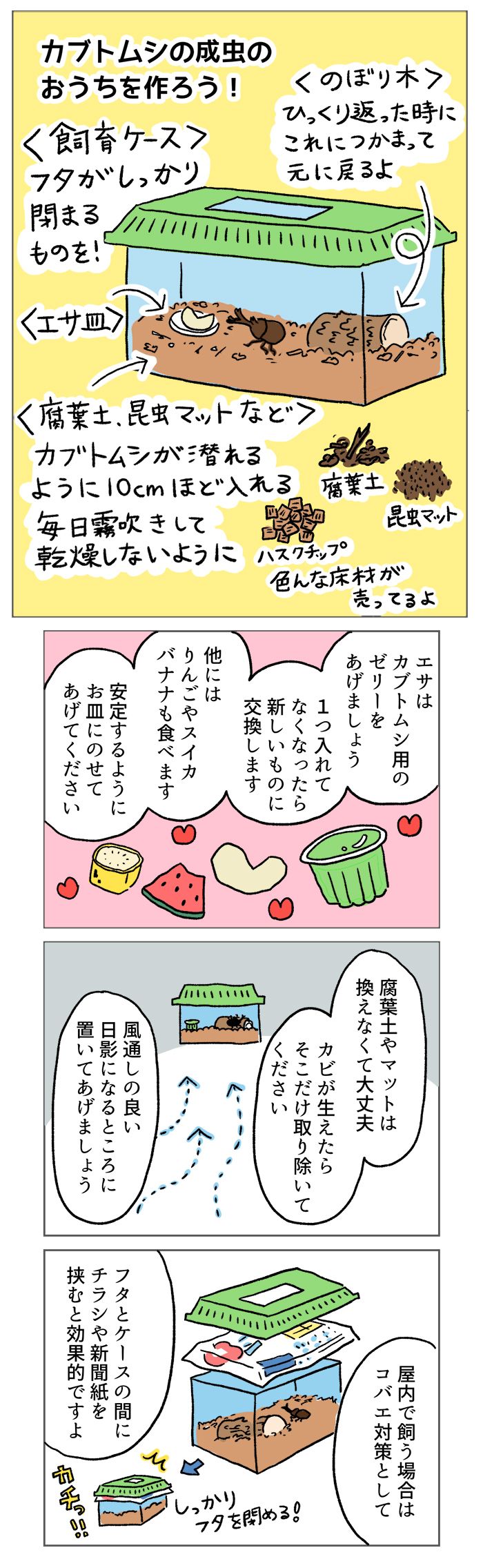 意外とハードルが低い!?「キング・オブ・虫」カブトムシの飼育【マンガでわかる！ おっかなびっくり飼育】の画像3