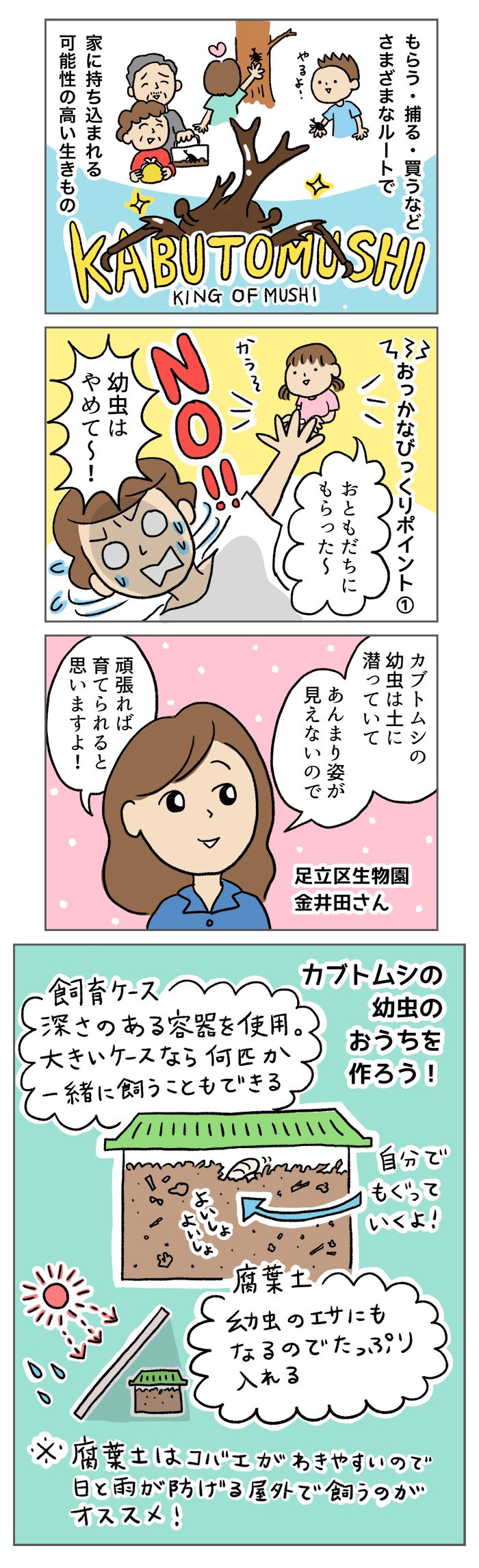 意外とハードルが低い!?「キング・オブ・虫」カブトムシの飼育【マンガでわかる！ おっかなびっくり飼育】の画像1