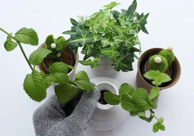 セリア 汚れが目立ちにくいグレー軍手 3双組 使用例