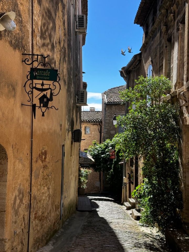 ラベンダー薫る風に乗って、南仏を周る旅【夢見るパリ】