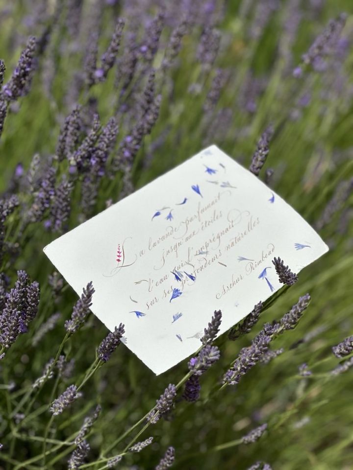 ラベンダー薫る風に乗って、南仏を周る旅【夢見るパリ】