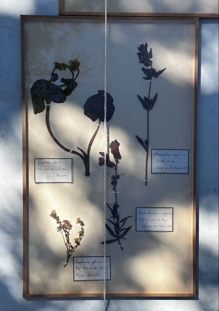 ラベンダー薫る風に乗って、南仏を周る旅【夢見るパリ】