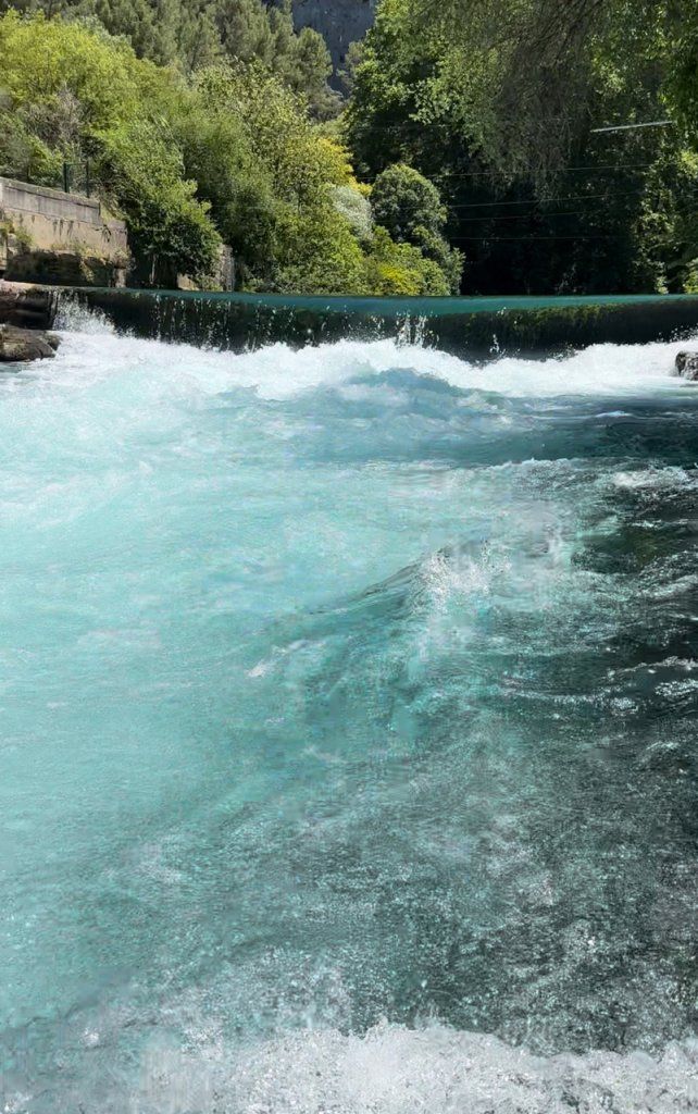 ラベンダー薫る風に乗って、南仏を周る旅【夢見るパリ】