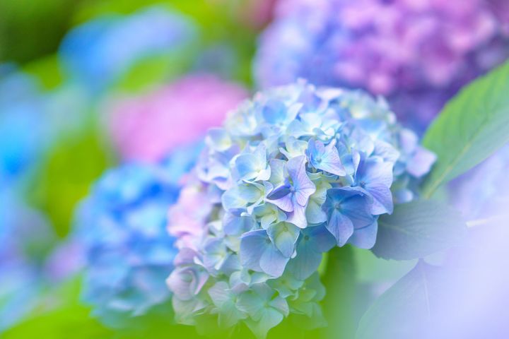 季節感のある名前が人気