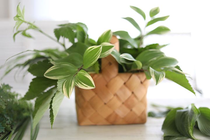 リーフアレンジの作り方