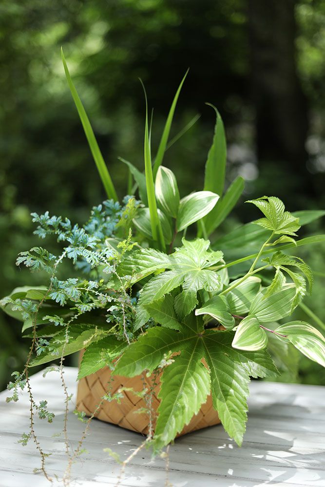 真夏のリーフアレンジ