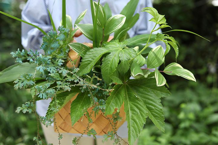 夏のリーフアレンジ