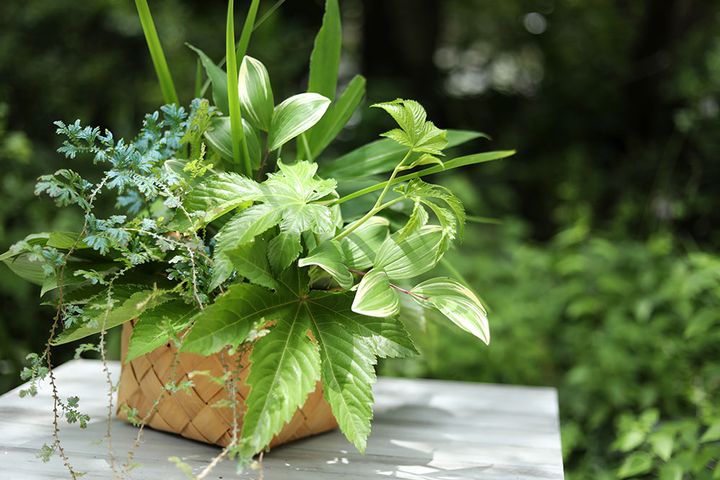 リーフアレンジ