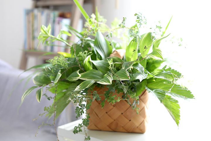 リーフアレンジの作り方