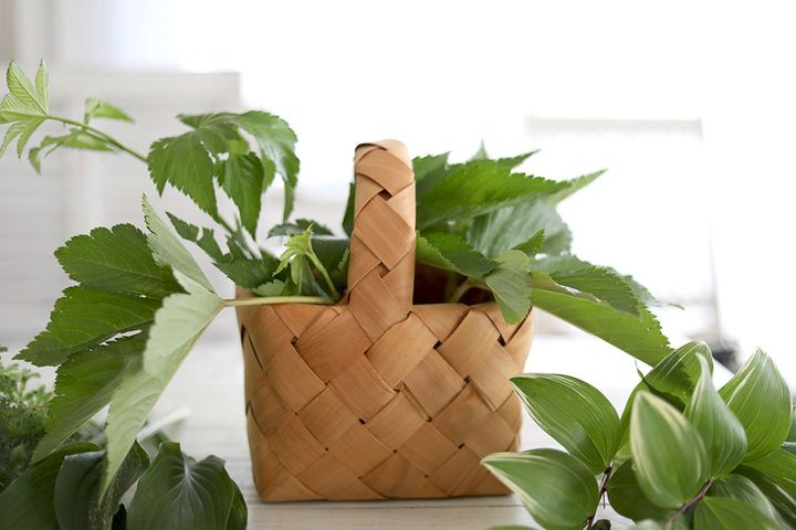 リーフアレンジの作り方