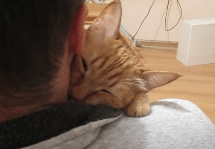 猫「ご主人、大好き♡」抱きついたまま幸せそうに眠っちゃった！