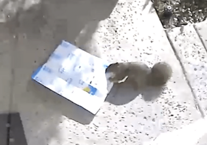 「置き配」を頼んだら盗まれた！ 防犯カメラに映っていたのは