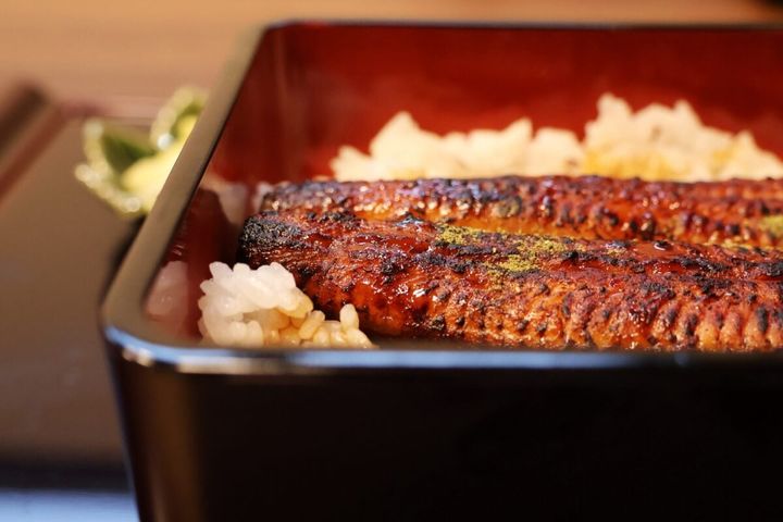 国産ウナギと中国産ウナギの違いは？