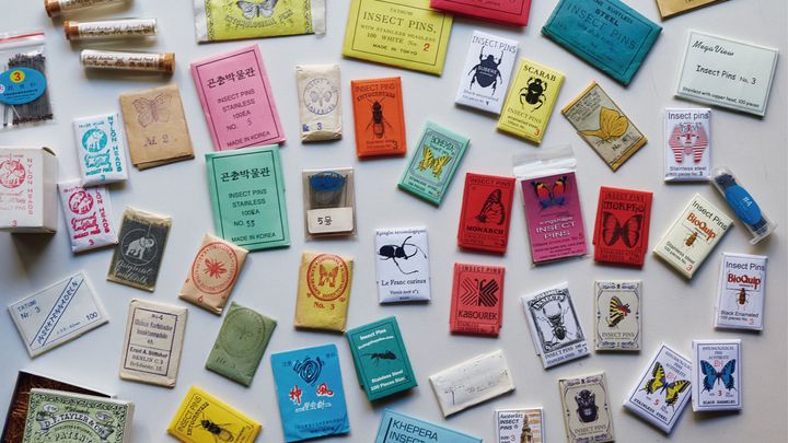 昆虫針のパッケージ